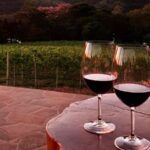 279839063 3349388665338523 108159508948383033 n