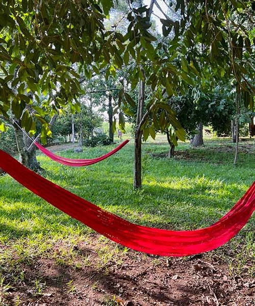 48c11e546c86430a907e8045a5a977e2