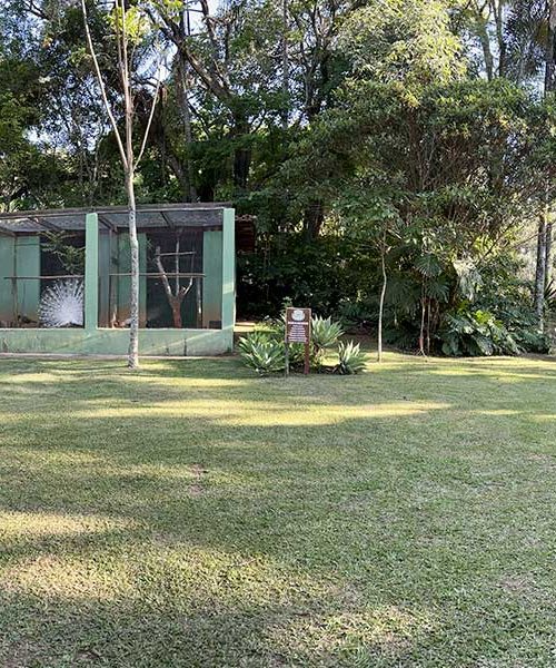 8040ad7534a8469b97d087cb8e7ad536