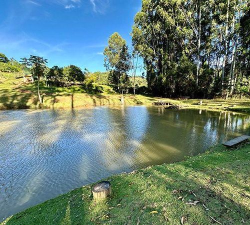 WhatsApp Image 2024 02 10 at 08.44.09