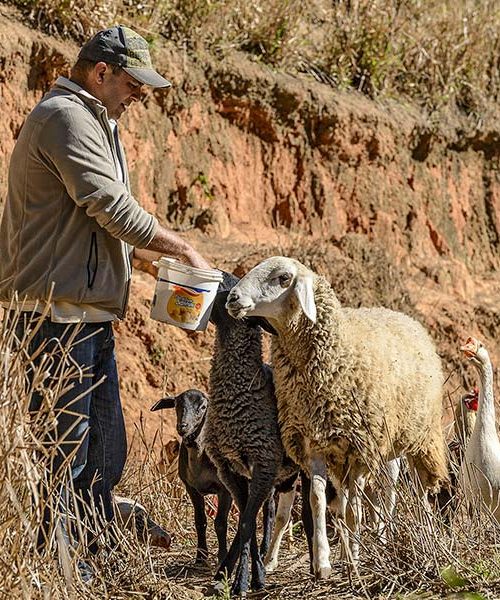 dc4a4b79ee054843ab7b90d64da0fa71