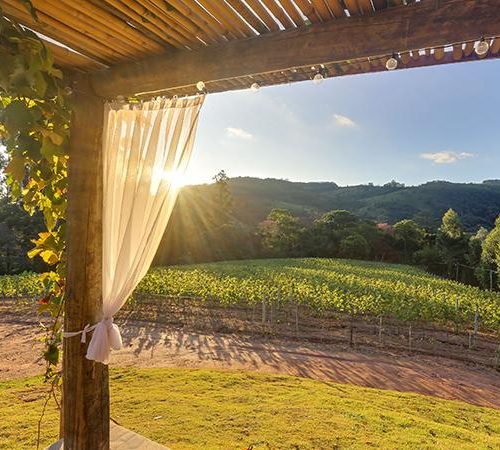 famiglia bartho externas fabio votto 8